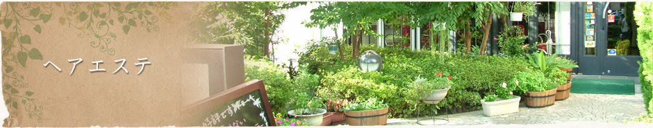 ヘアエステ