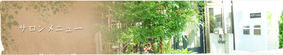 サロンメニュー